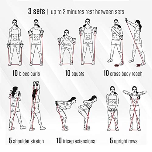 Cougar Elite Fitness Tube